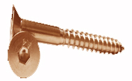 ASTM B152 Copper Nickel -Socket-Head-Screw
